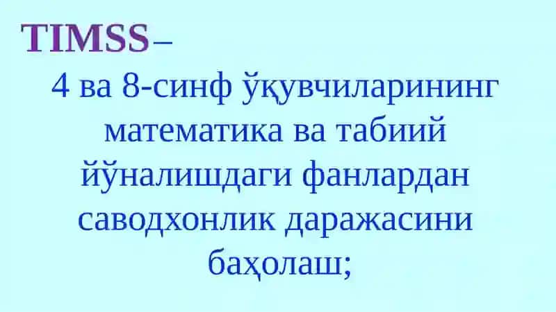 P-Programme 3