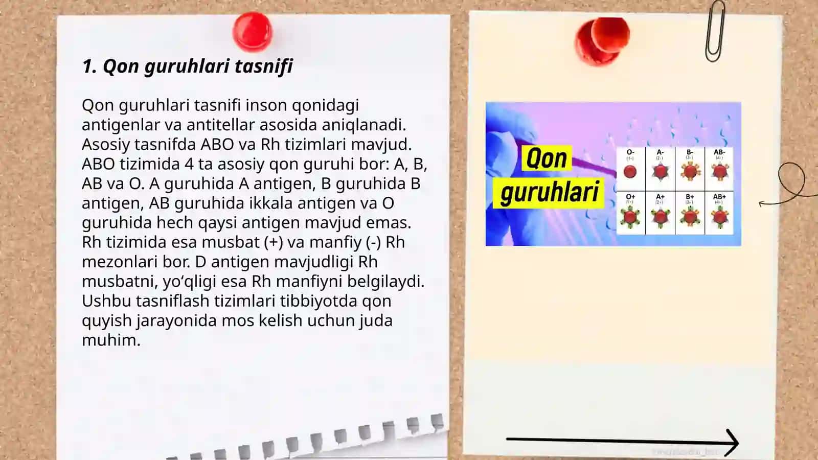 Qon guruhlari va immunitet 3