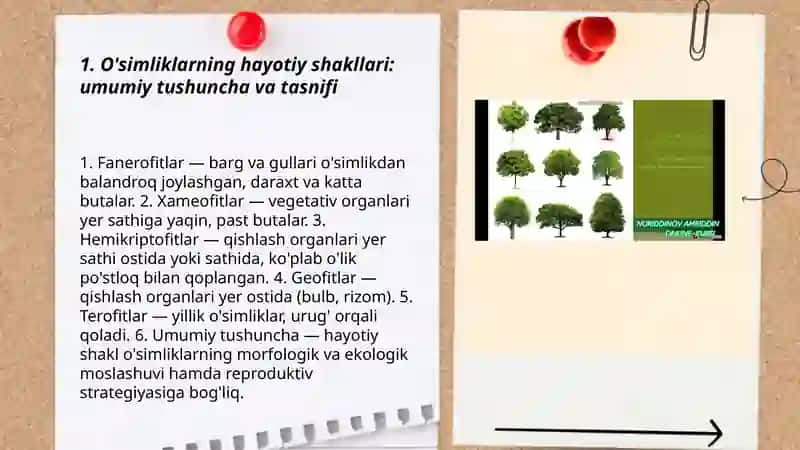 O'simliklarning hayotiy shakllari. Tuban va yuksak o'simliklar 3