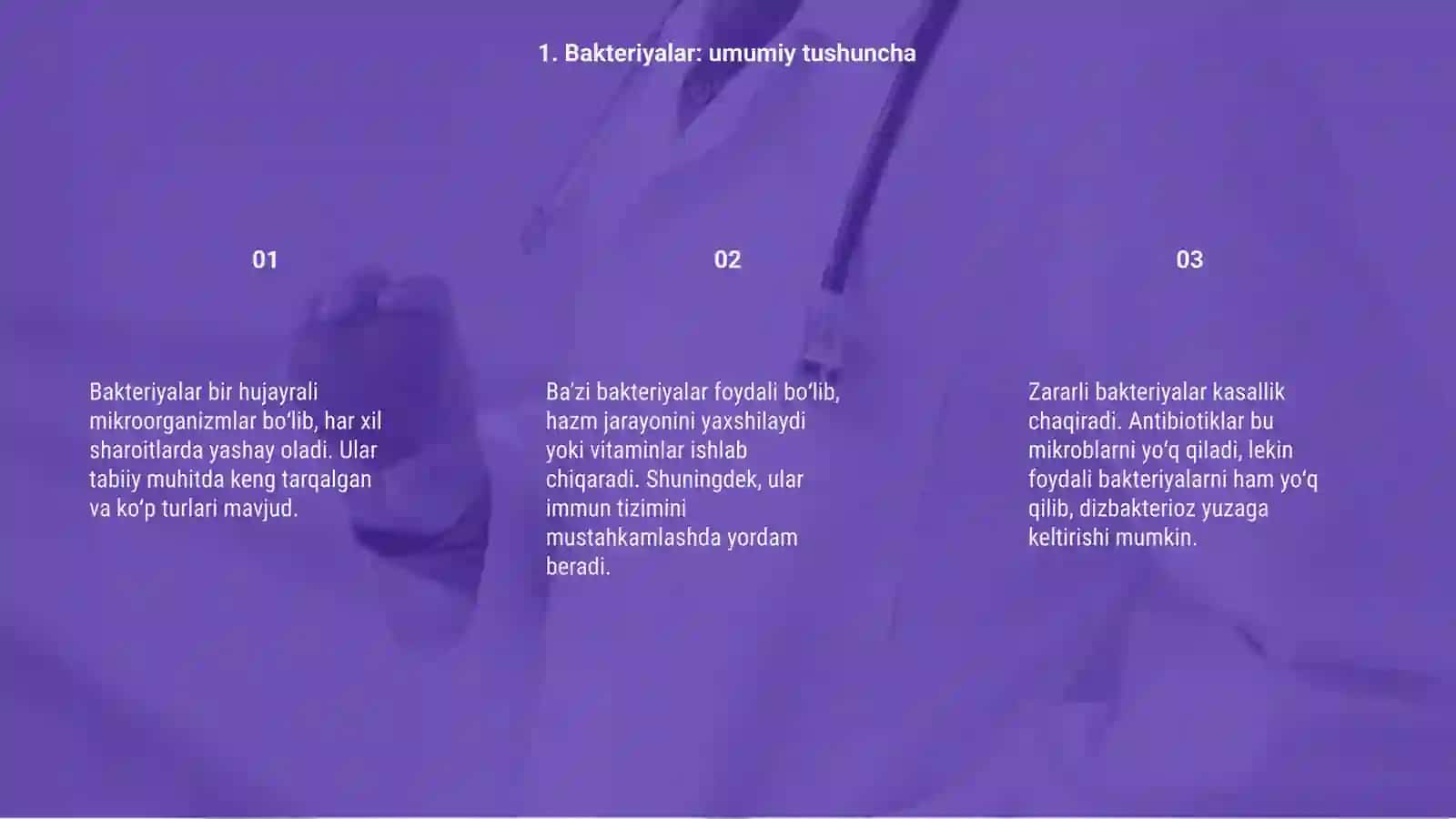 Bakteriyalar va antibiotiklar 3