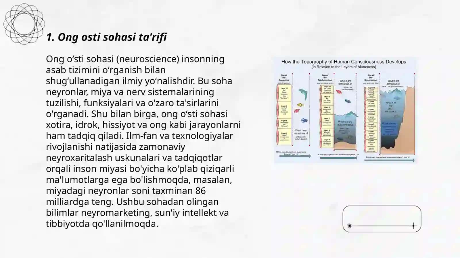 Ong oʻsti sohasi 3