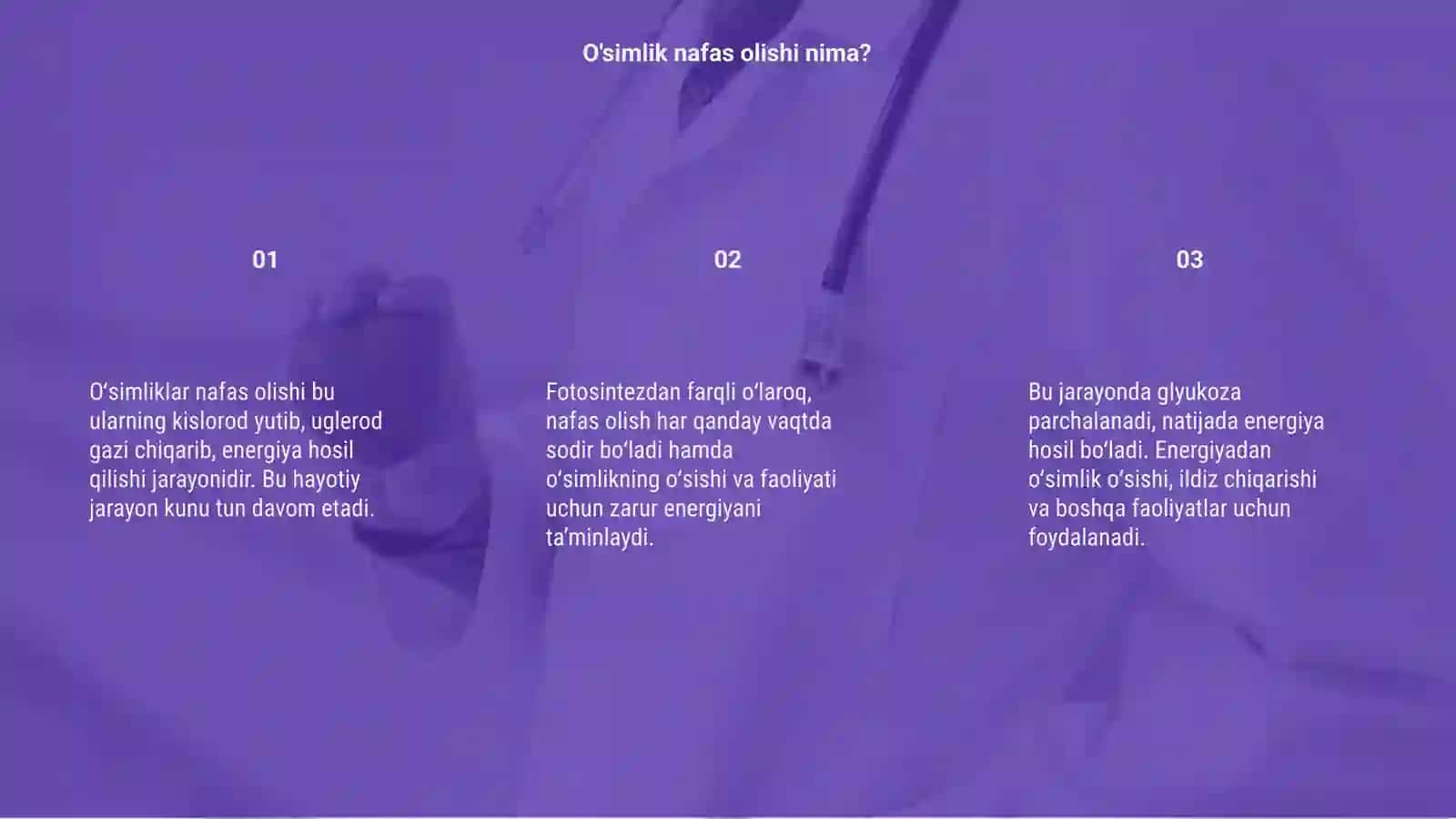 O'simlik nafas olishi 3