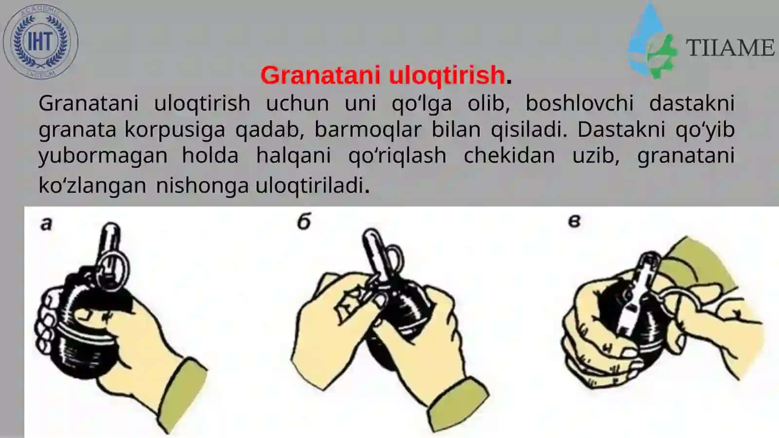 Jangovar granatalar 3