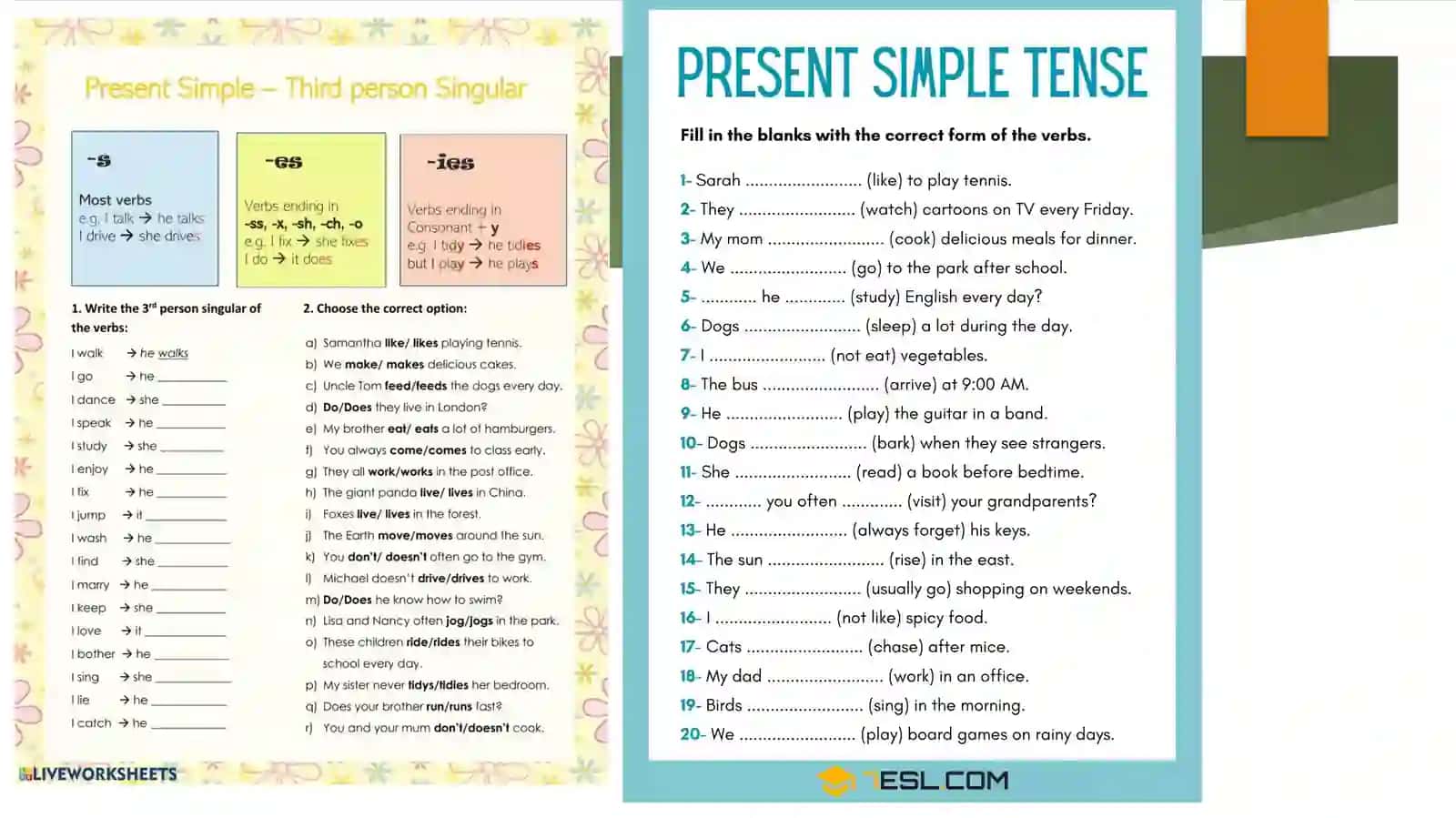 Present Simple Tense 3
