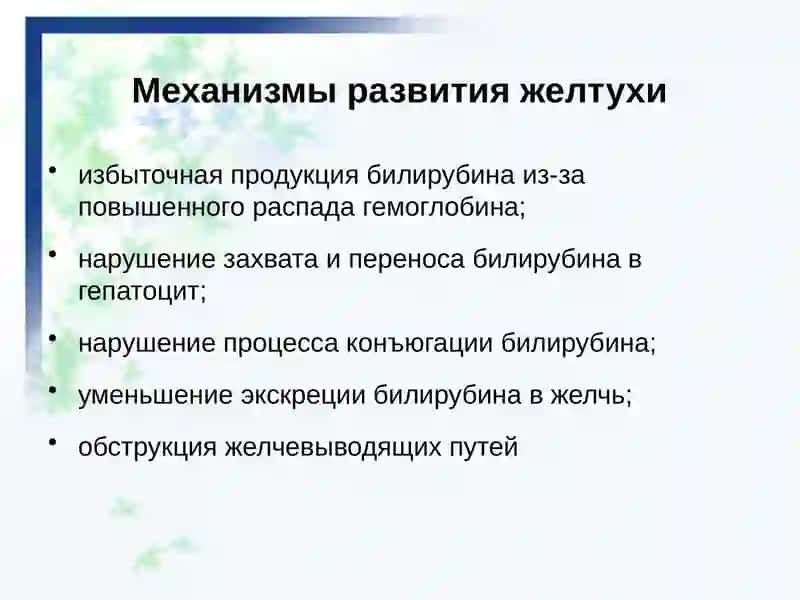 Желтуха (icterus) 3
