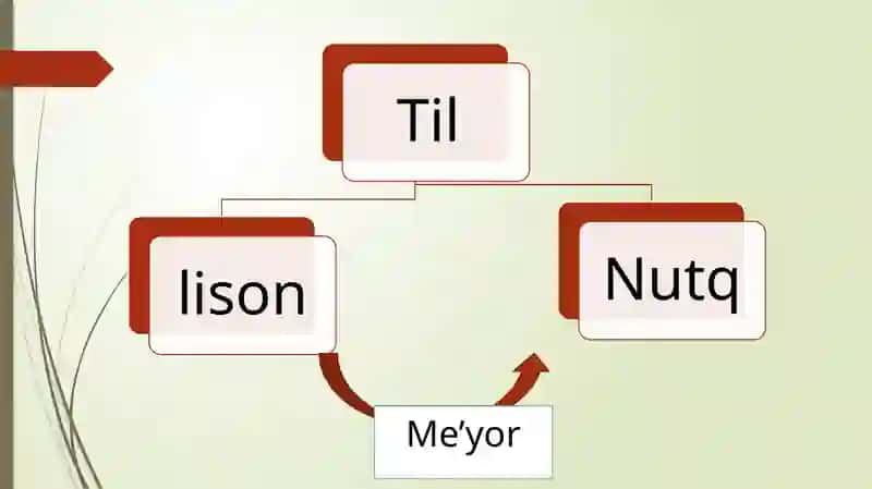 TIL, LISON, ME’YOR VA NUTQ MUNOSABATI. TIL SATHLARI VA BIRLIКLARI 3