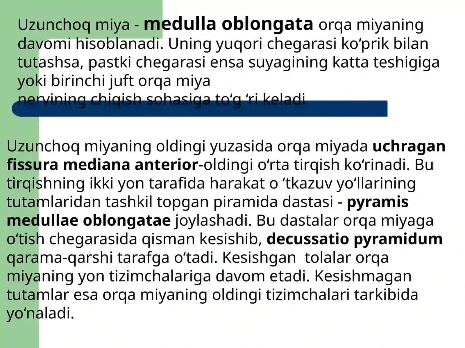Uzunchoqmiya 3