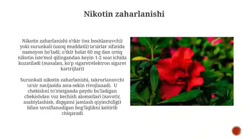 Sakrash turlari 3