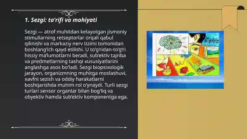 Sezgi 3
