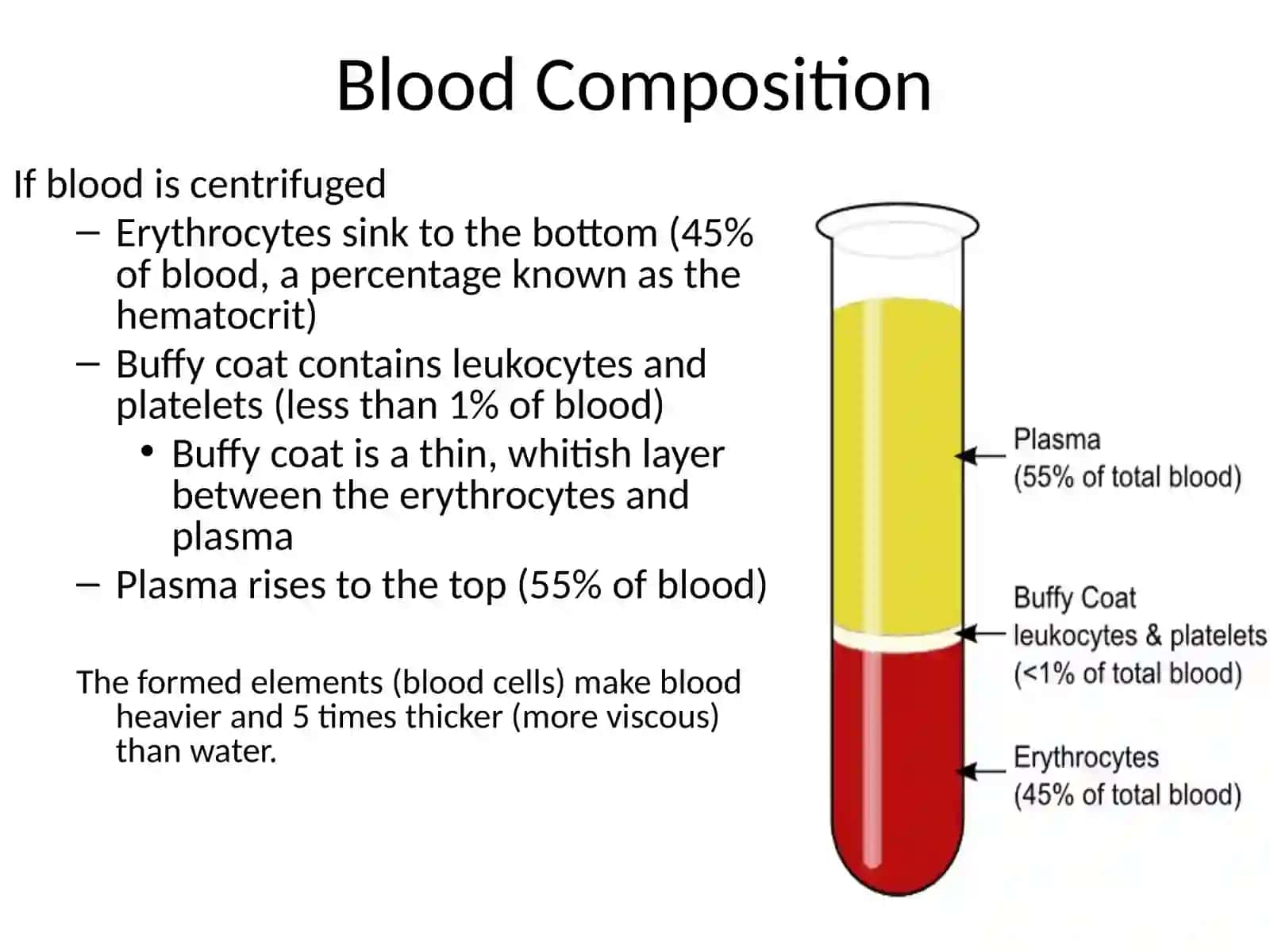 Blood 3