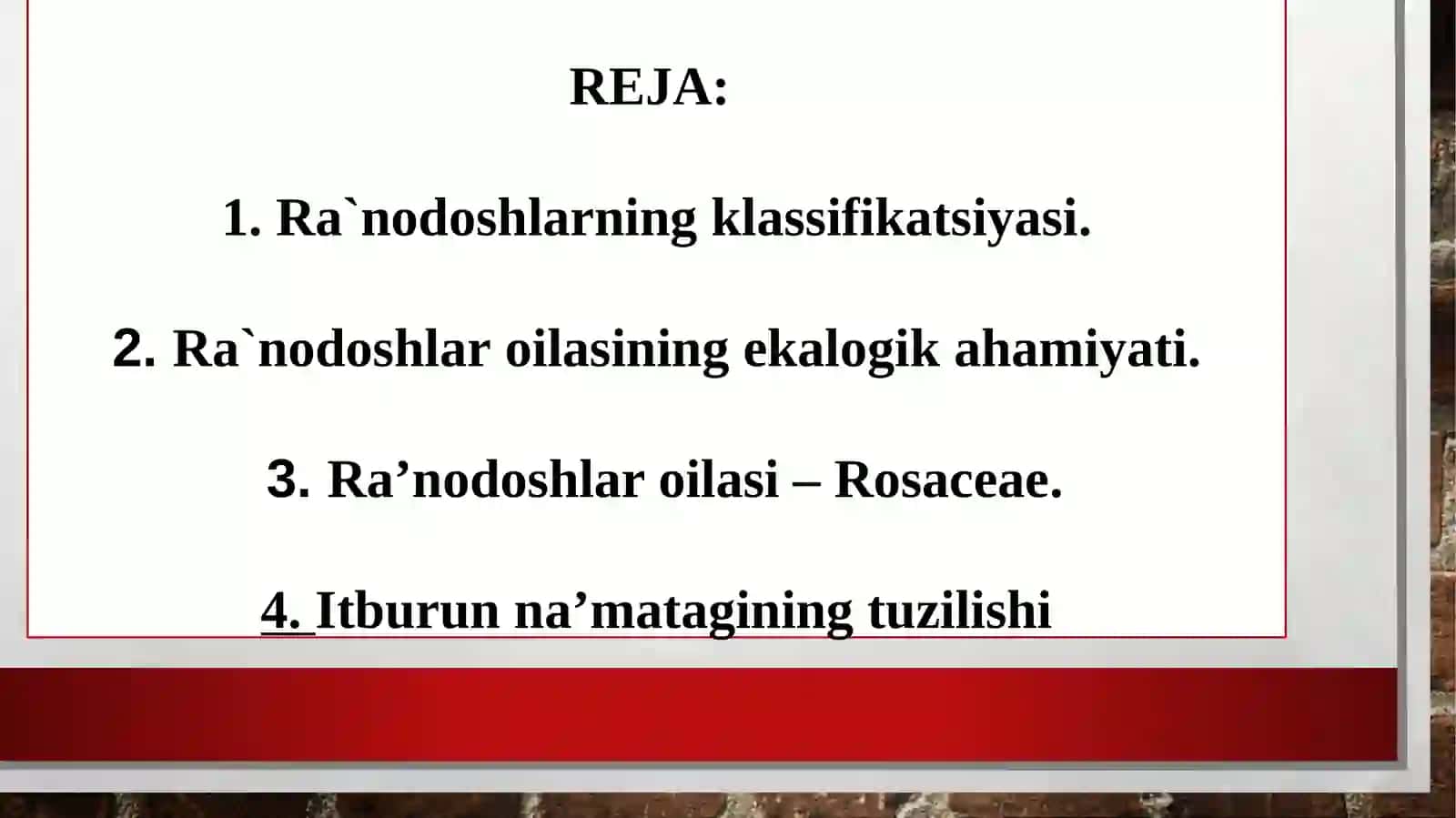 Ra'nodashlar oilasi 3