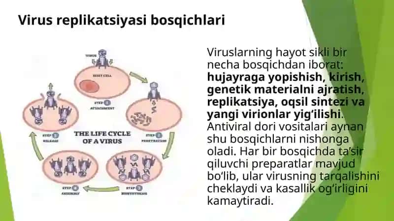 Viruslarga qarshi dori vositalari 3