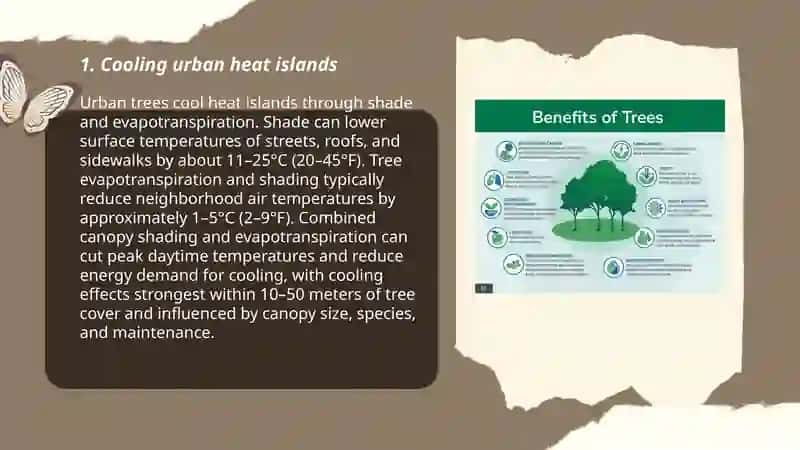 Why cities are need trees 3