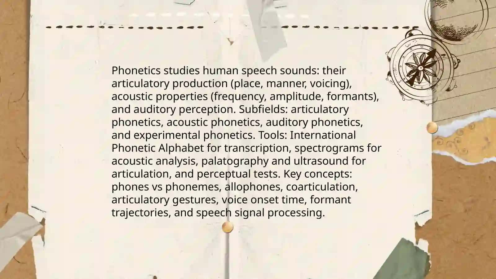Branches and fields of linguistics 3