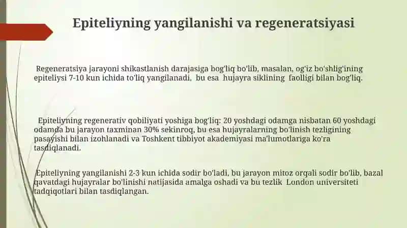 Qatlamli murakkab yassi epitili 3
