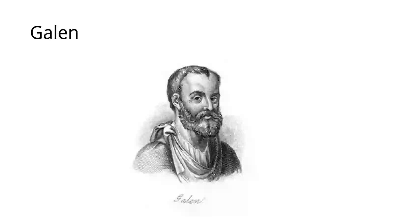LeonardodaVinchi 3