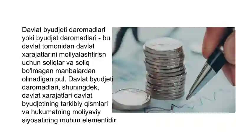 Davlat Byudjeti 3