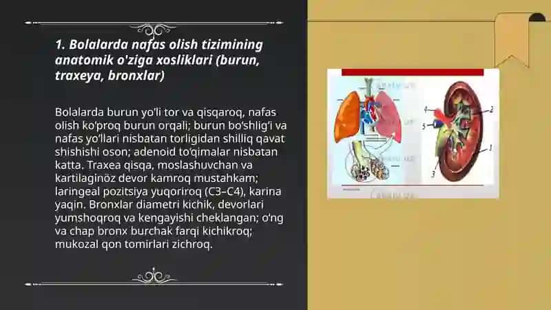 Bolalarda nafas olish tizimining anatoma fiziologik hususiyatlari, embriogenezi embropatiyasi. Birinchi nafas olish mexanizmi 3