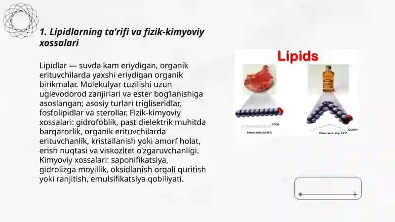 Lipidlar 3