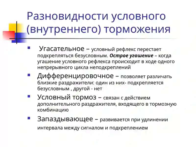Виды сна 3