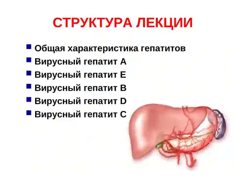 ВИРУСНЫЕ ГЕПАТИТЫ 3