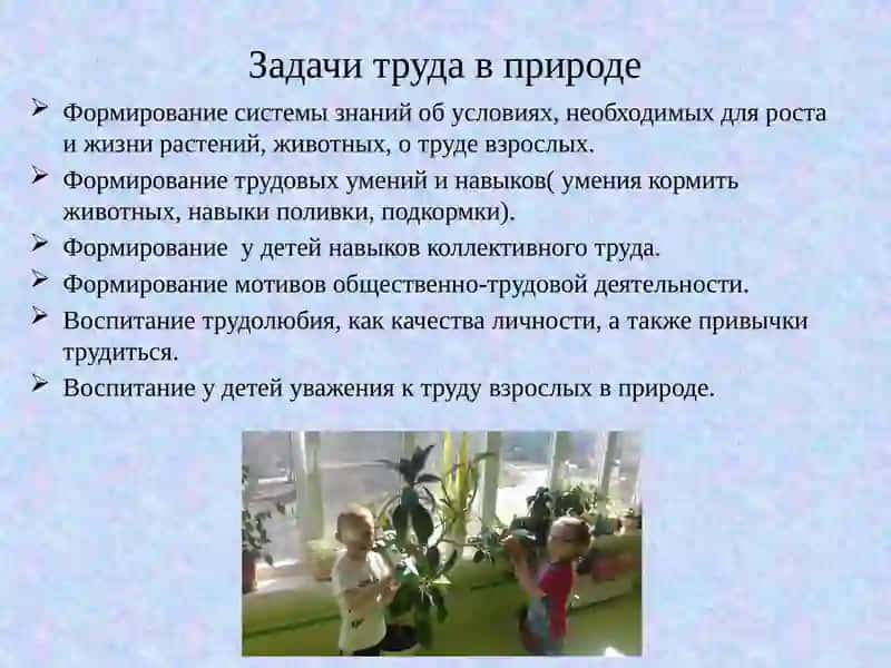 Труд в природе 3