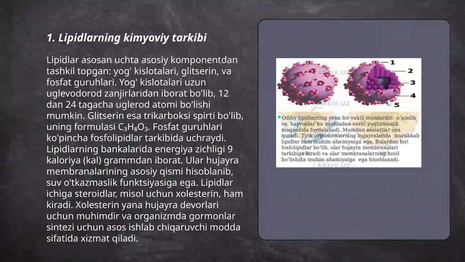 Lipidlar haqida 3