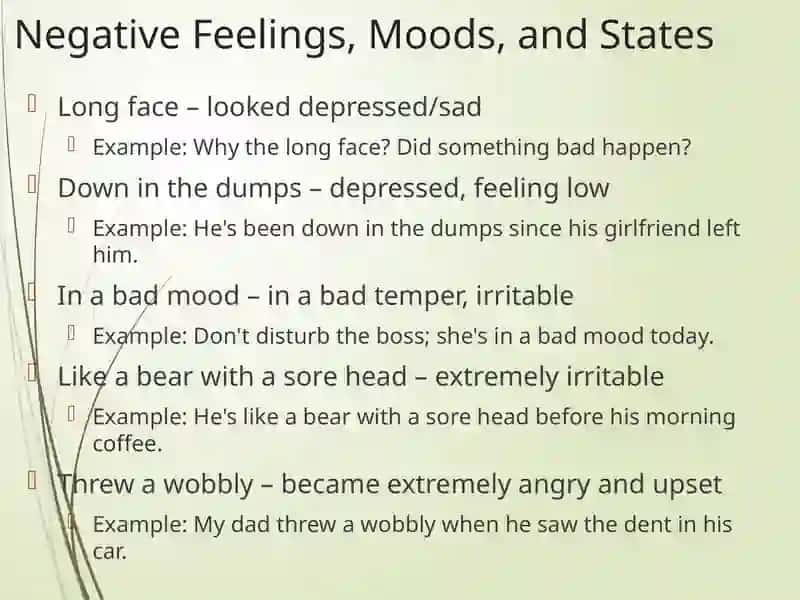 Emotions and Moods 3