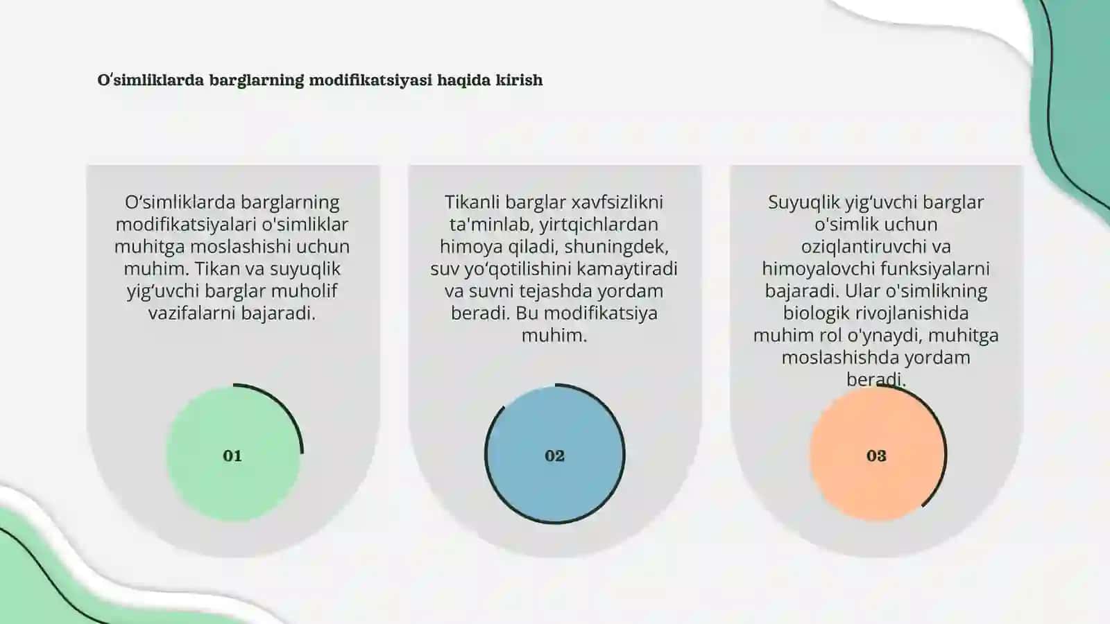 Oʻsimliklarda barglarning modifikatsiyasi 3