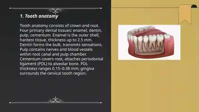 Teeth 3