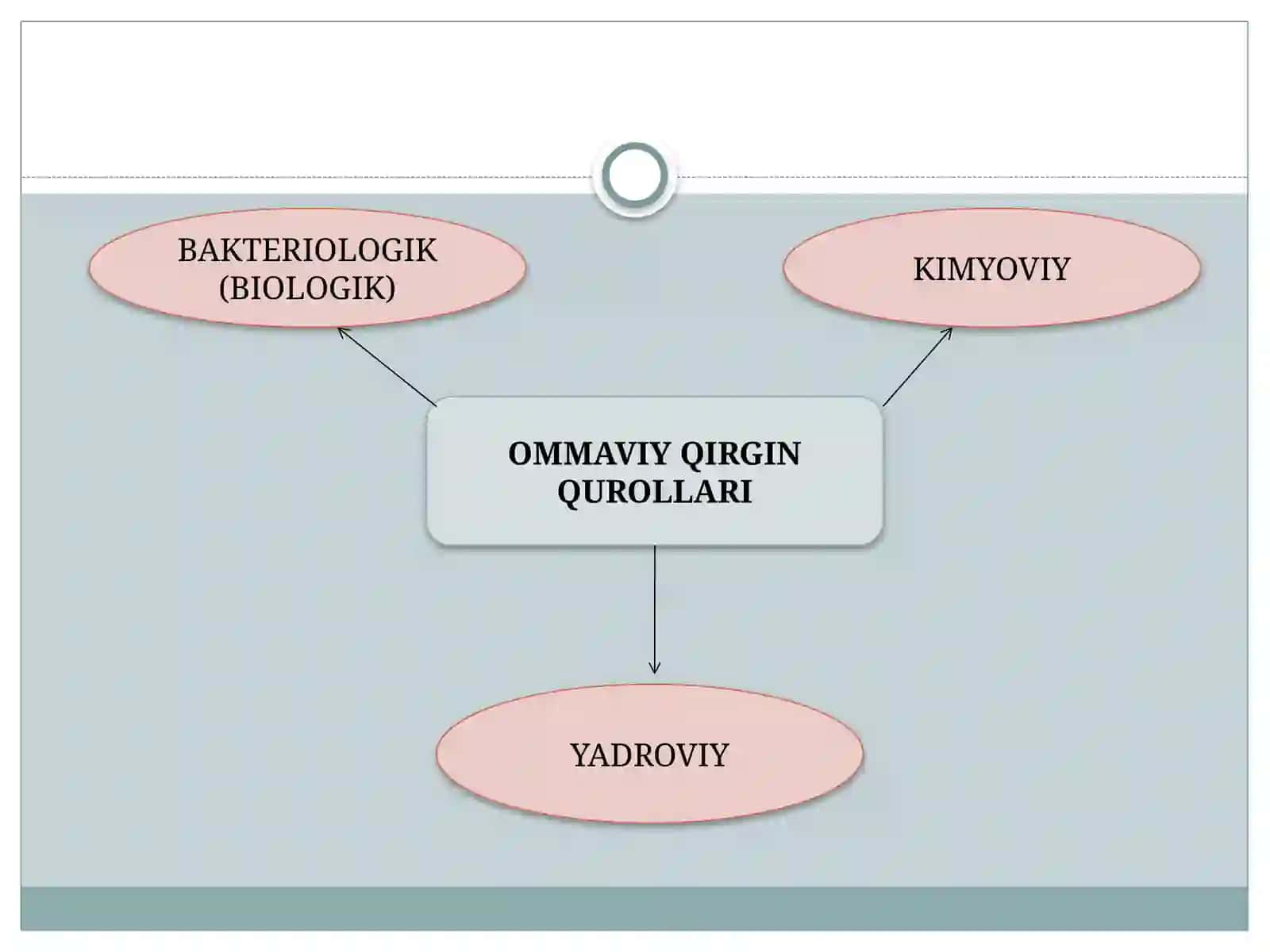 Ommaviy Qirg'in Qurollari Tasnifi 3