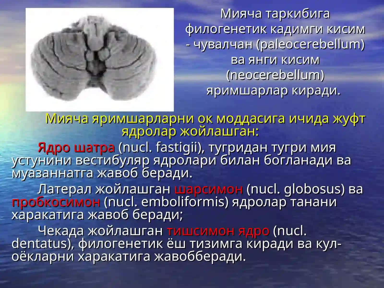 Мияча 3