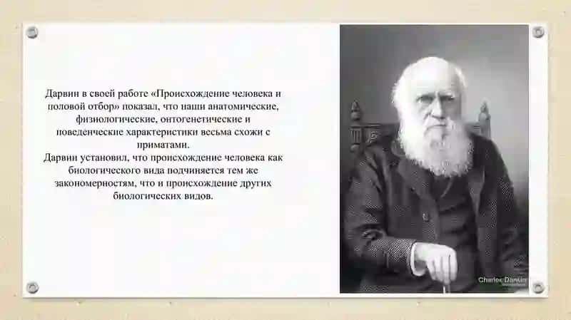 Антропогенез 3