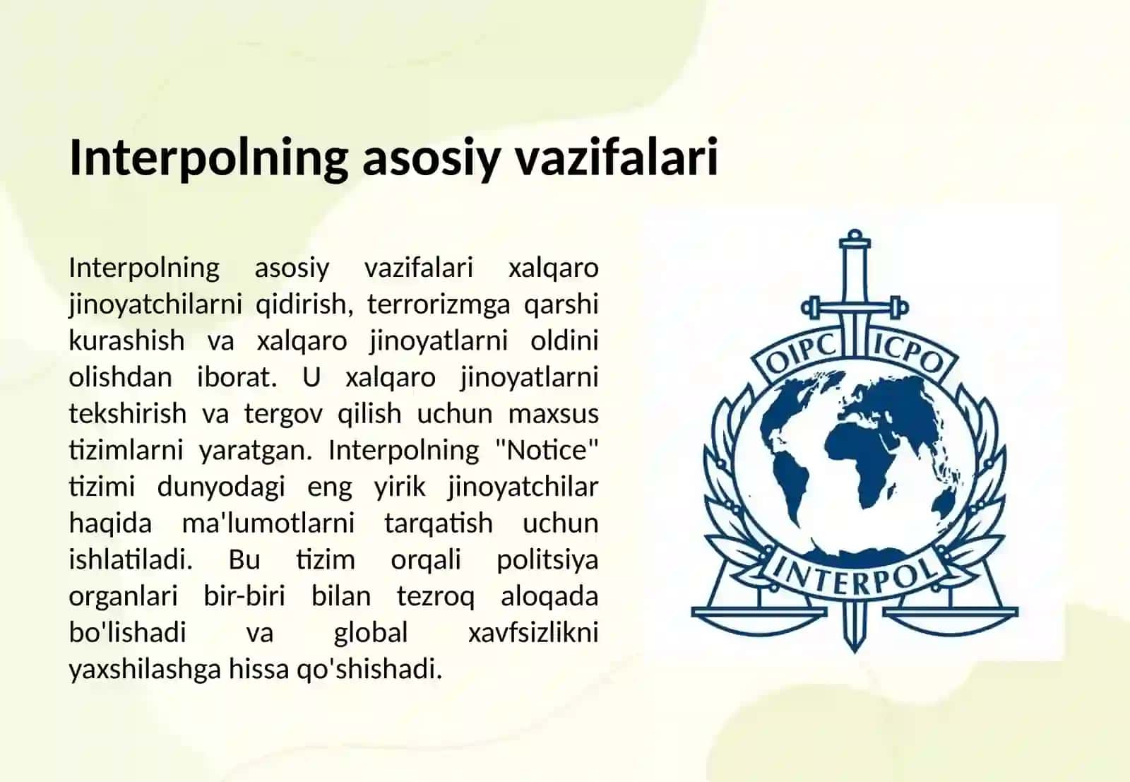 Interpol faoliyati 3
