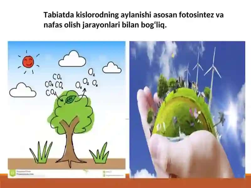 Kislorod gruppachasi elementlari.Oltingugurt 3
