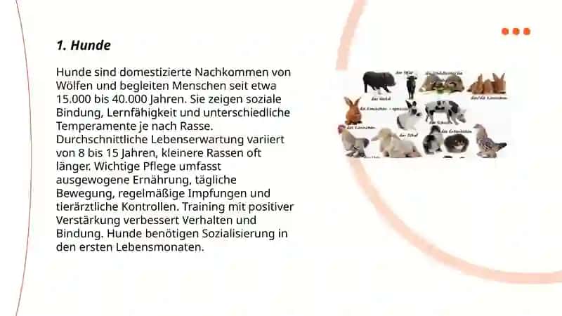 Hunde 3