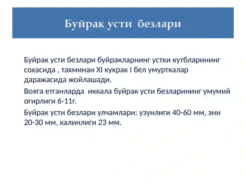 Буйрак усти безлари 3