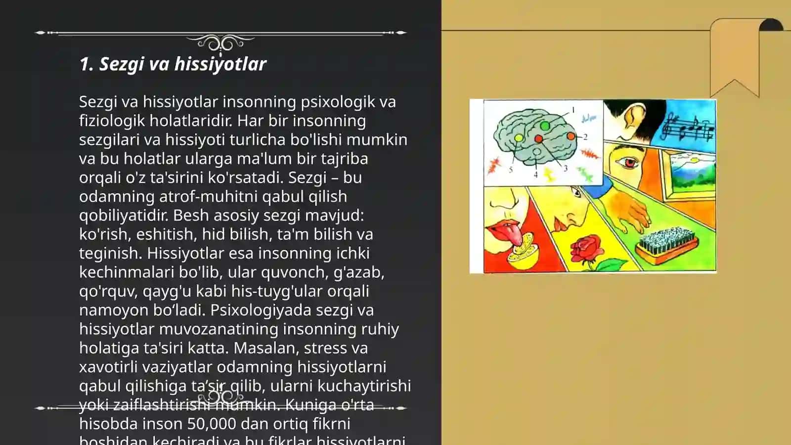 Sezgi 3
