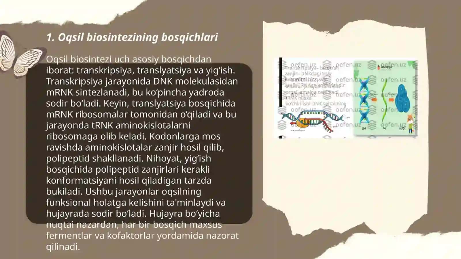 Oqsil biosintezi 3