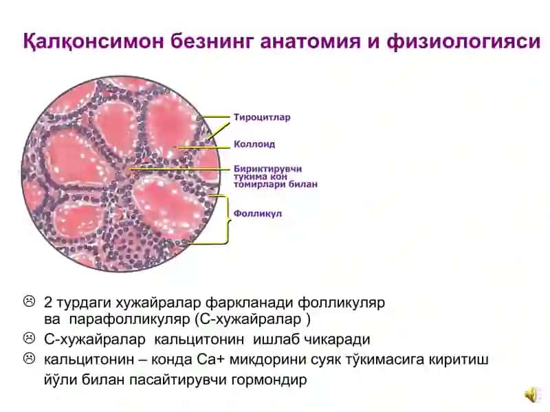 Қалқонсимон касалликлари 3