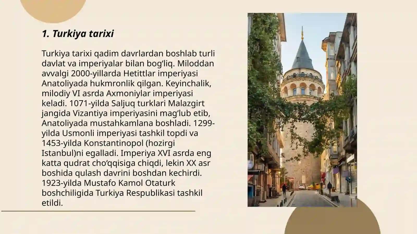 Turkiya davlati haqida 3