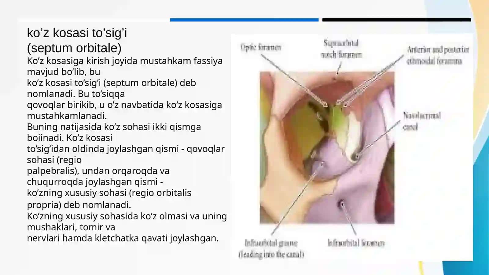 TURSUNOVA SEVARA 3