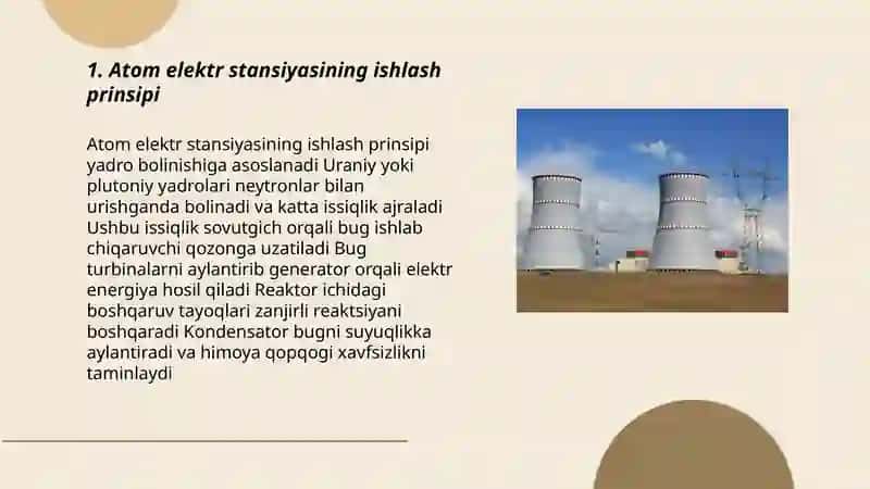 Atom elektr stasiyalari 3
