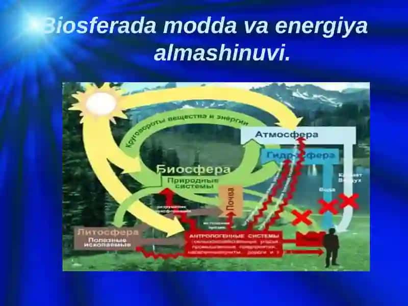Biosferadamoddaalmashinuvi 3