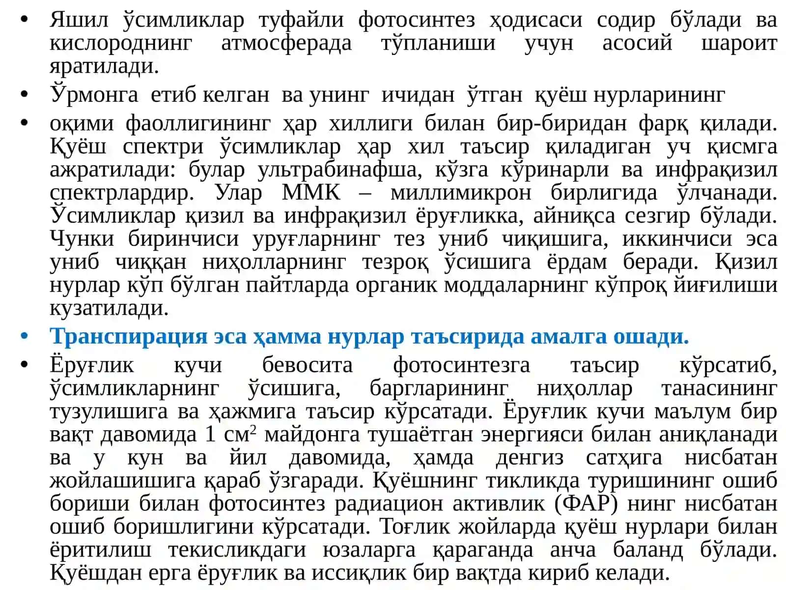 Ўрмон ва ёруғлик 3