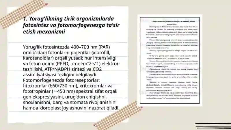 Turli ekologik omillarning tirik organizmlarga ta'sir etish mexanizmi 3
