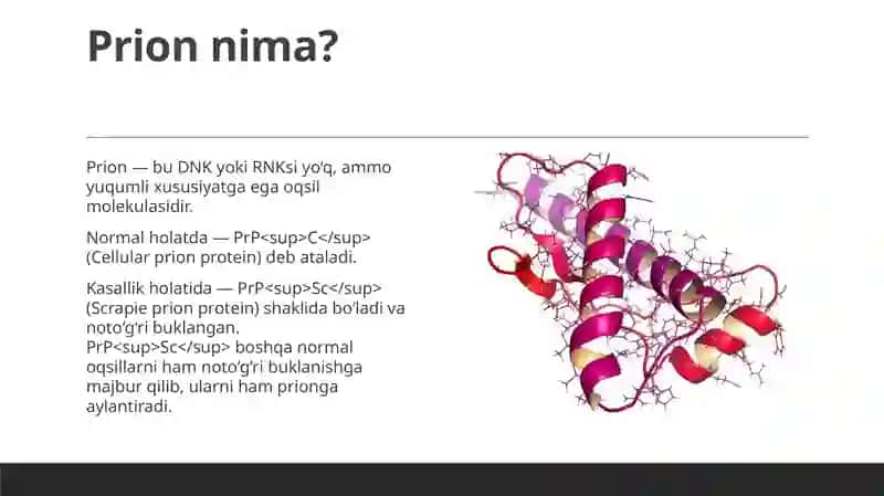 Prion kasalliklari 3