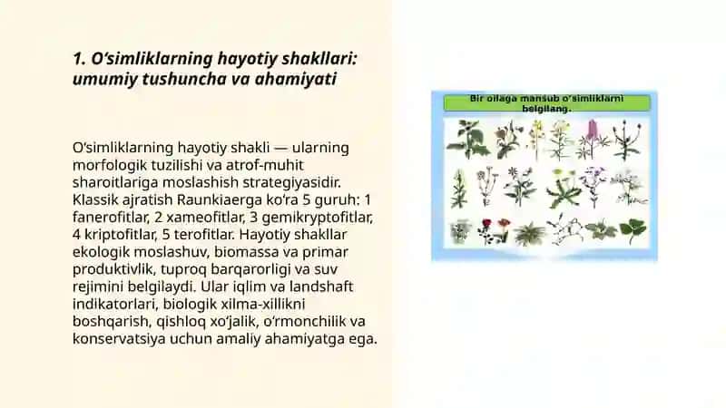 O‘simliklarning hayotiy shakllari 3