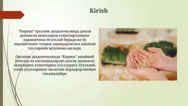 Кириш 3