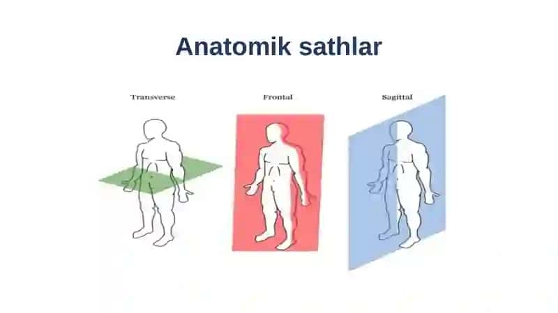 Anatomiksathlar 3